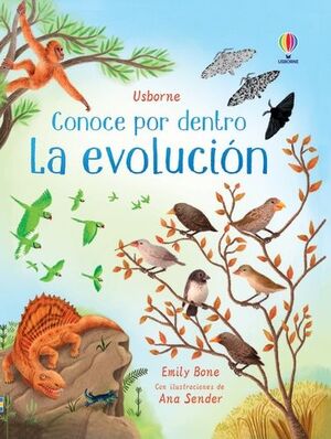 LA EVOLUCIÓN CONOCE POR DENTRO